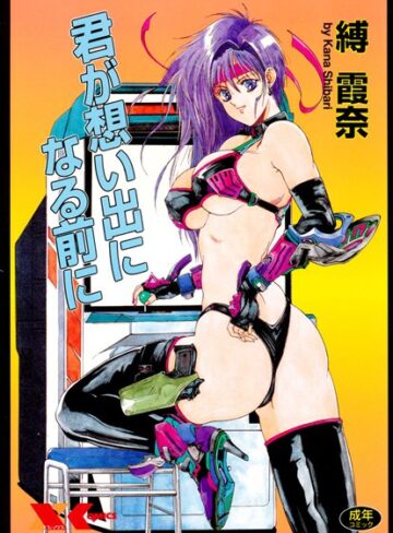 君が想い出になる前に