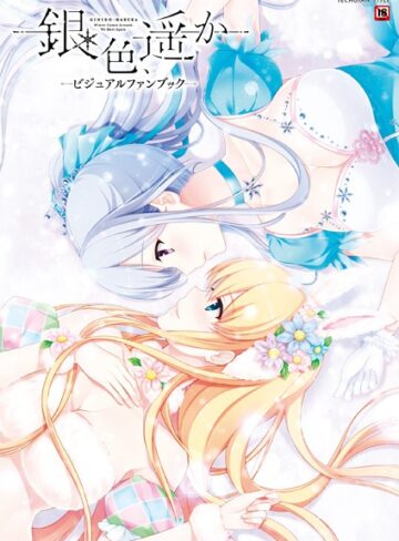 銀色、遥か ビジュアルファンブック