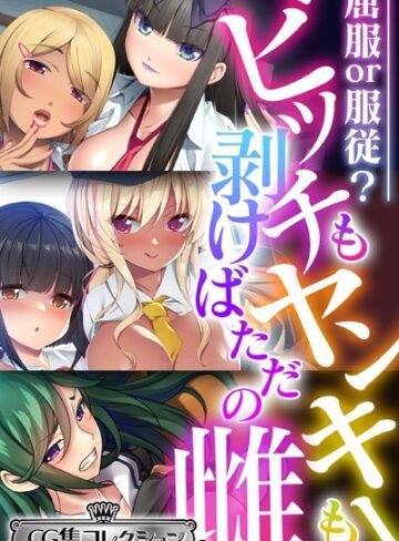 ビッチもヤンキーも剥けばただの雌 〜屈服or服従？〜【CG集コレクション ミニ】