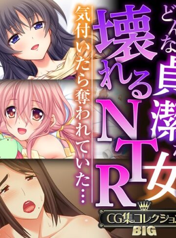 どんな貞潔な女も壊れるNTR〜気付いたら奪われていた…〜【CG集コレクションBIG】