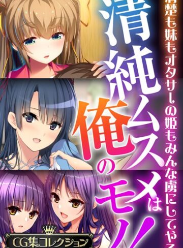 清純ムスメは俺のモノ！〜清楚も妹もオタサーの姫もみんな虜にしてやる〜【CG集コレクションBIG】