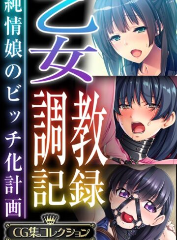 乙女調教記録〜純情娘のビッチ化計画〜【CG集コレクションBIG】