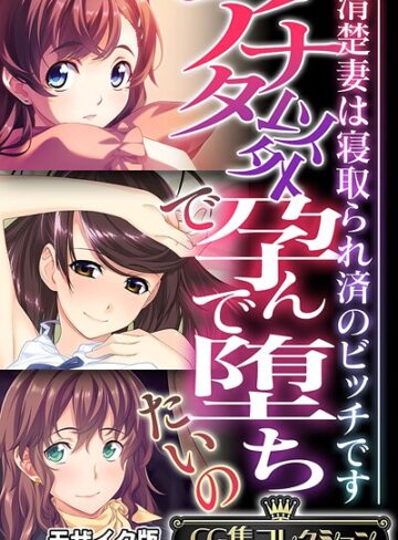 アナタ以外で孕んで堕ちたいの 〜清楚妻は寝取られ済のビッチです〜【CG集コレクション】 モザイク版