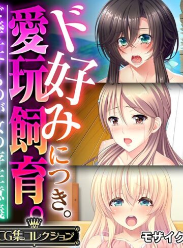 ド好みにつき。愛玩飼育。 〜ご奉仕するのが女の存在意義〜【CG集コレクション】 モザイク版