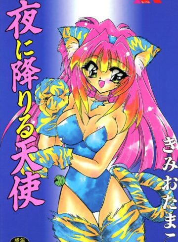 夜に降りる天使